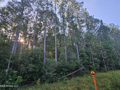 92 Acres of Timber, Wildlife, and Homesite Potential - Pearl - photo 34