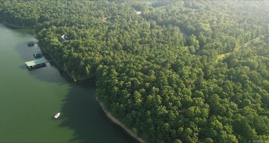 LAKEFRONT LOT WITH EASY WALK TO THE WATER This beautiful tree - photo 5