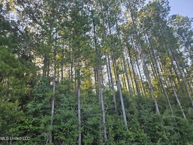 92 Acres of Timber, Wildlife, and Homesite Potential - Pearl - photo 36