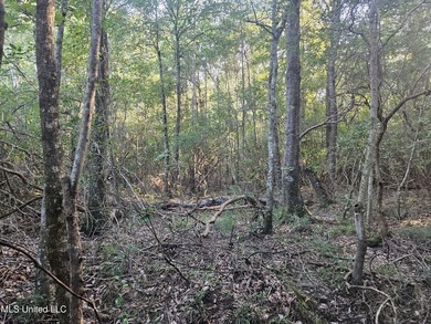 92 Acres of Timber, Wildlife, and Homesite Potential - Pearl - photo 38