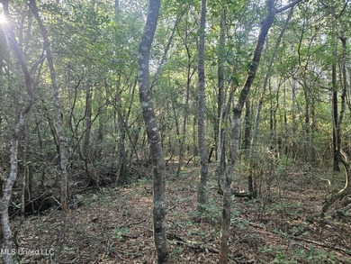 92 Acres of Timber, Wildlife, and Homesite Potential - Pearl - photo 39