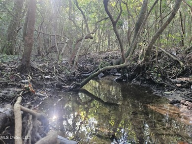 92 Acres of Timber, Wildlife, and Homesite Potential - Pearl - photo 40
