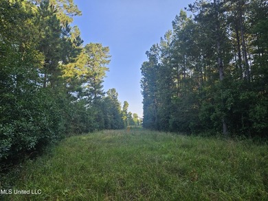 92 Acres of Timber, Wildlife, and Homesite Potential - Pearl - photo 41
