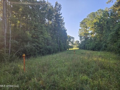 92 Acres of Timber, Wildlife, and Homesite Potential - Pearl - photo 42