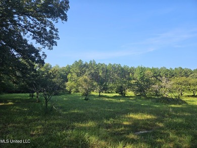 92 Acres of Timber, Wildlife, and Homesite Potential - Pearl - photo 44