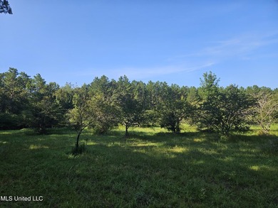 92 Acres of Timber, Wildlife, and Homesite Potential - Pearl - photo 45