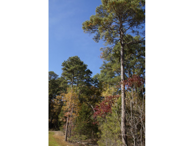 5 acre lake on 18.5 acres Chandler - photo 26