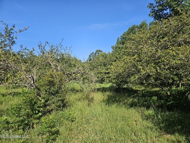 92 Acres of Timber, Wildlife, and Homesite Potential - Pearl - photo 46
