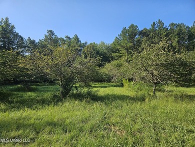 92 Acres of Timber, Wildlife, and Homesite Potential - Pearl - photo 47