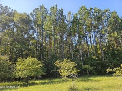 92 Acres of Timber, Wildlife, and Homesite Potential - Pearl - photo 48
