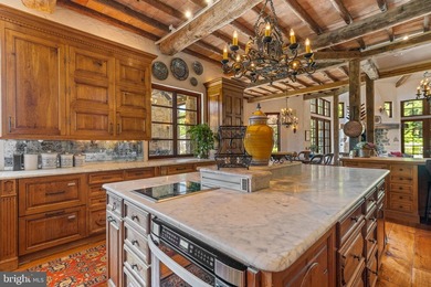 MILLION DOLLAR PRICE REDUCTION! QUALIFIED BUYERS WELCOME! *Fine - photo 50