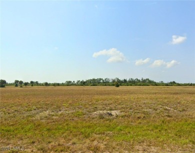 Rotunda Meadows Lakes  Lot For Sale in Placida Florida