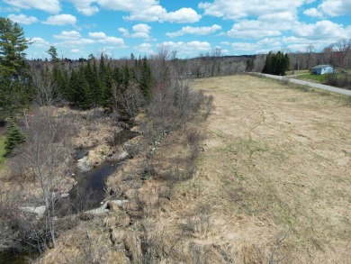 Lake Acreage For Sale in Palermo, Maine
