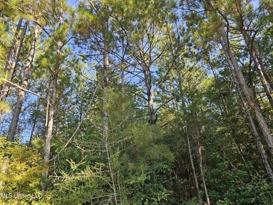 92 Acres of Timber, Wildlife, and Homesite Potential - Pearl - photo 52