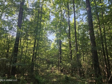 92 Acres of Timber, Wildlife, and Homesite Potential - Pearl - photo 55
