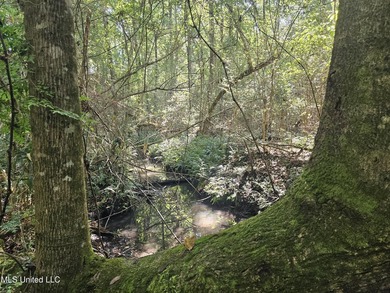 92 Acres of Timber, Wildlife, and Homesite Potential - Pearl - photo 56