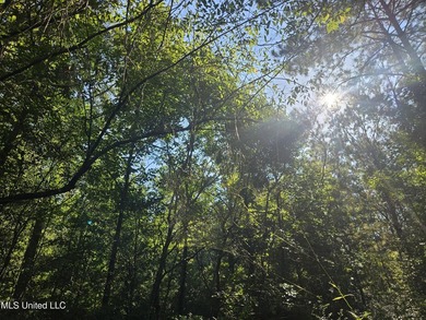 92 Acres of Timber, Wildlife, and Homesite Potential - Pearl - photo 57