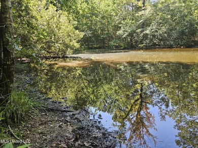 92 Acres of Timber, Wildlife, and Homesite Potential - Pearl - photo 58