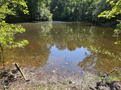 92 Acres of Timber, Wildlife, and Homesite Potential - Pearl - photo 59