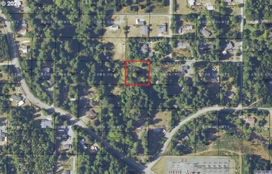 FORESTED .62 ACRE. 162 feet by 162 feet. Road not in. Developed - photo 1