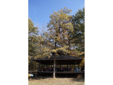 5 acre lake on 18.5 acres Chandler - photo 22