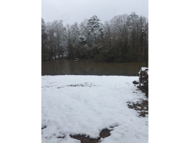 5 acre lake on 18.5 acres Chandler - photo 16