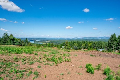 Introducing Delta Vista Community! An upscale community with - photo 2