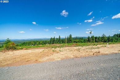 Introducing Delta Vista Community! An upscale community with - photo 3