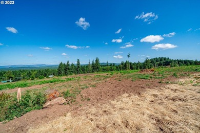 Introducing Delta Vista Community! An upscale community with - photo 4
