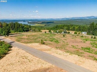 Introducing Delta Vista Community! An upscale community with - photo 7