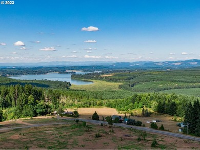 Introducing Delta Vista Community! An upscale community with - photo 9