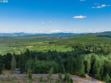 Introducing Delta Vista Community! An upscale community with - photo 10