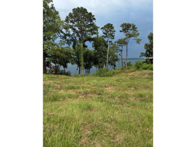 Lake Lot For Sale in Abbeville, Alabama