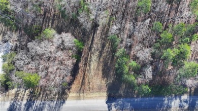 (private lake, pond, coastal) Lot For Sale in Rydal Georgia