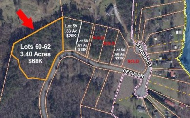 Rare opportunities to purchase land near 11,400-acre Lake - Lake Lot For Sale in Waterloo, South Carolina