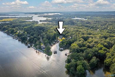 Welcome to exceptional waterfront living! This beautiful home - photo 46