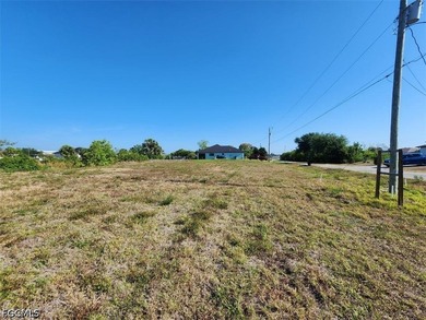 Nice Freshwater lot with great views * CITY WATER, SEWER, AND - photo 1