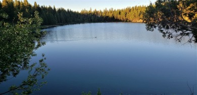 Tote Road Lake Acreage For Sale in Seeley Lake Montana