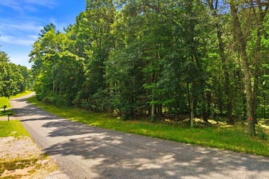 Rare opportunity to own two adjoining 1-acre lots in Kennedy - photo 7