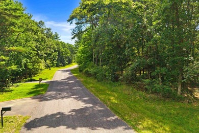 Rare opportunity to own two adjoining 1-acre lots in Kennedy - photo 8