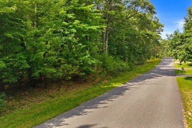 Rare opportunity to own two adjoining 1-acre lots in Kennedy - photo 9