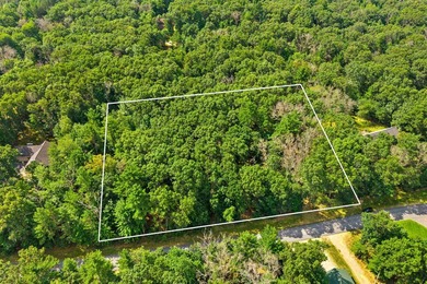 Rare opportunity to own two adjoining 1-acre lots in Kennedy - photo 10