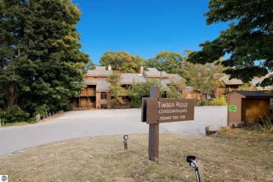 (private lake, pond, creek) Condo For Sale in Bellaire Michigan