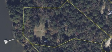 Lake Acreage For Sale in Fort Gaines, Georgia