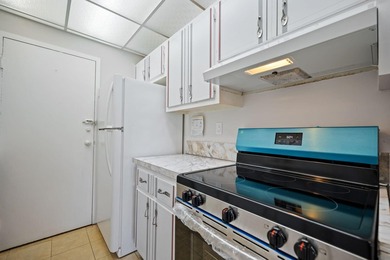 Rare once-in-a-lifetime opportunity to own the only 2 adjoining - photo 7