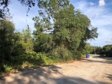 Lake Lot For Sale in Avon Park, Florida