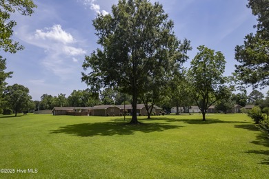 Beautifully-maintained grassy lot with two pecan trees and many - photo 14
