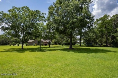 Beautifully-maintained grassy lot with two pecan trees and many - photo 15