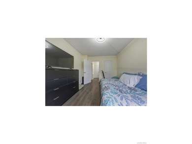 Welcome to 825 Morrison Ave, a beautifully renovated two-bedroom - photo 16
