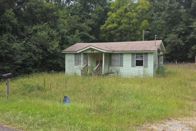 Lake Home For Sale in Georgetown, Georgia
